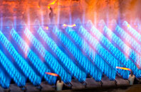 Dol Y Cannau gas fired boilers